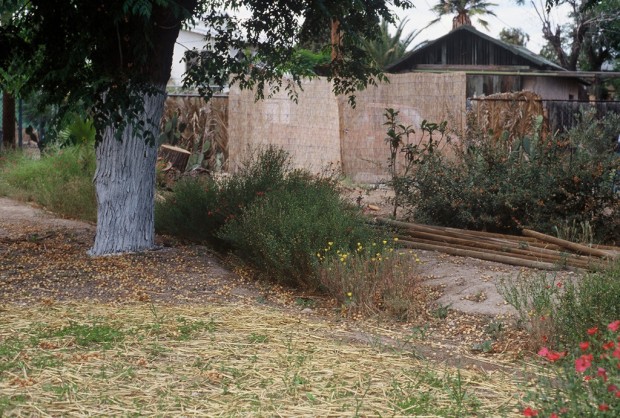 Swale idea: Simple, inexpensive ways of saving rainwater